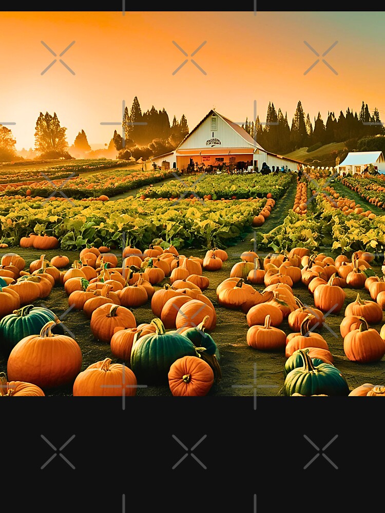CALIFORNIAS VIBRANT PUMPKIN PATCH FARM by milestotreasure