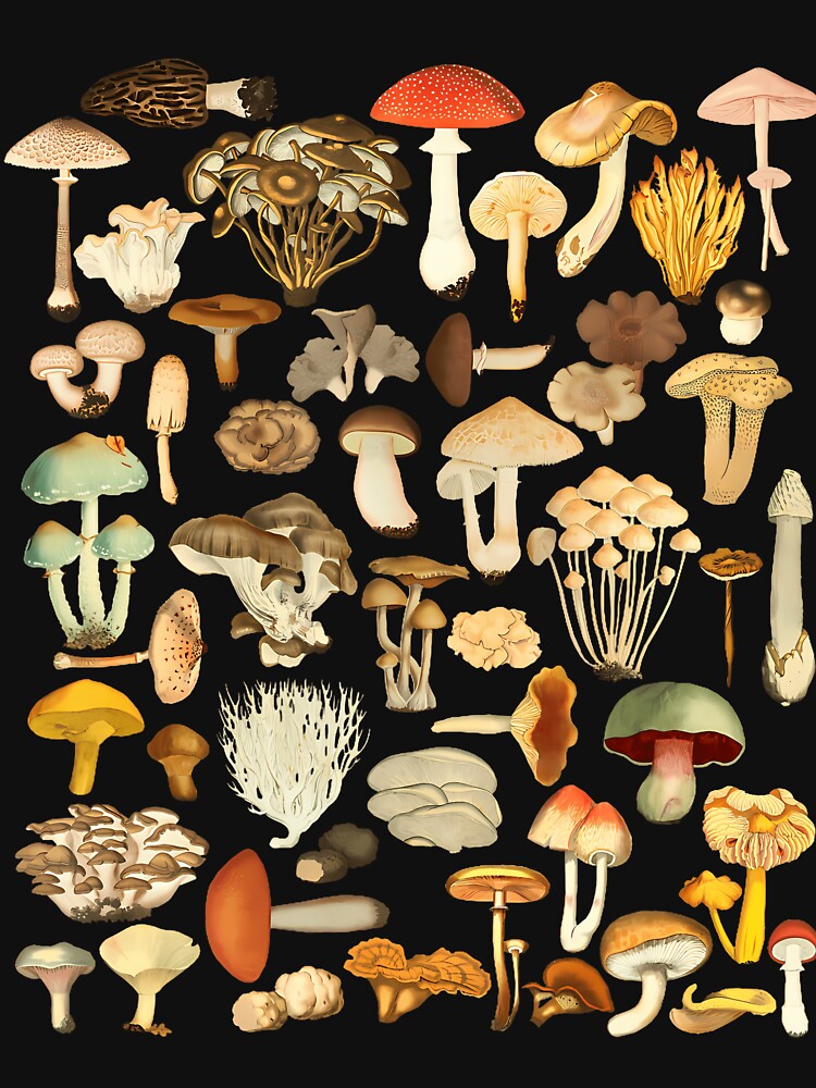 Mycology Foraging Mushroom Chart by csshowsearesr