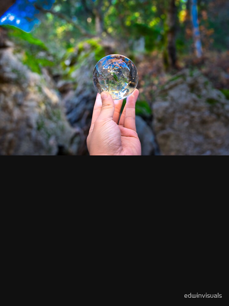 Reflection Of A Forest Rock On Glass Crystal Ball by edwinvisuals