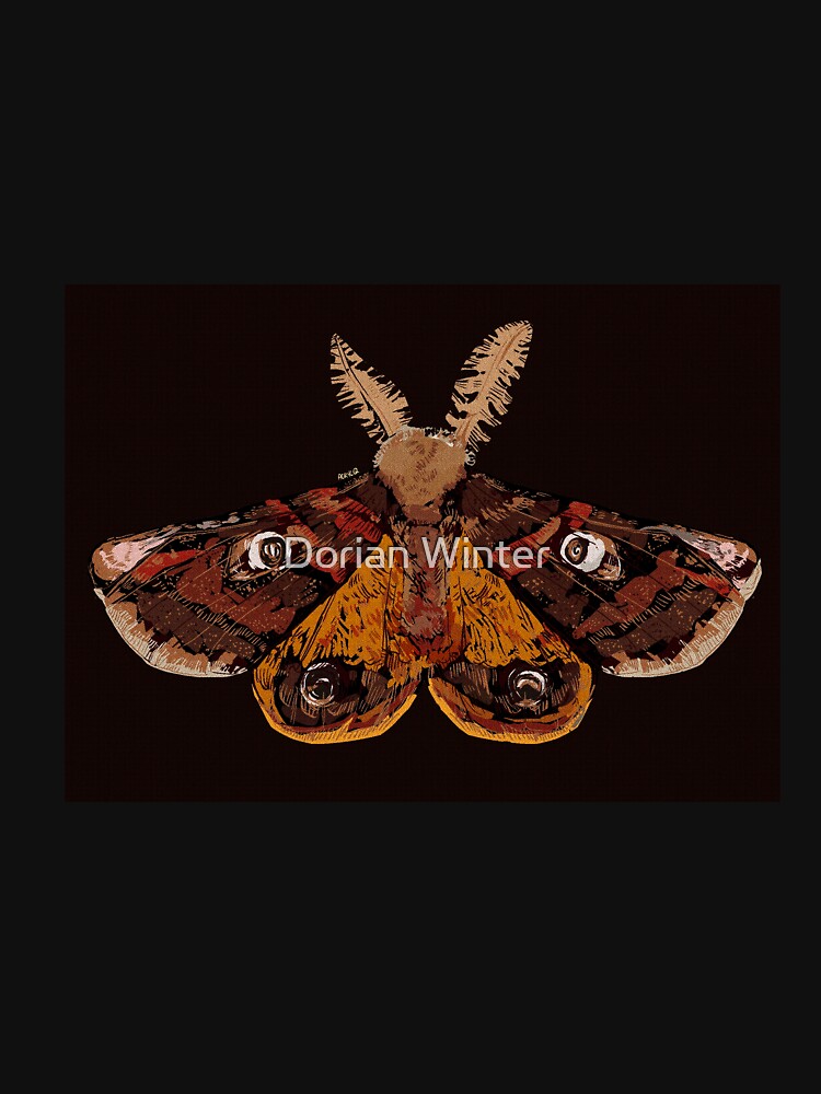 Moth 2 by Dorian Winter