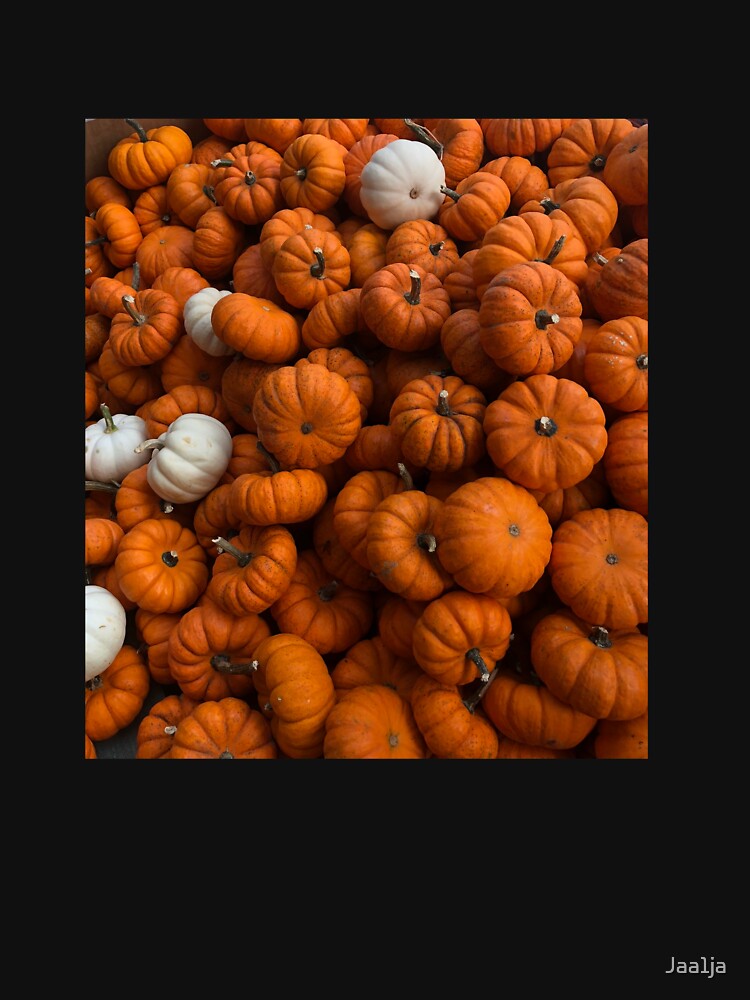 Mini pumpkin patch by Jaa1ja