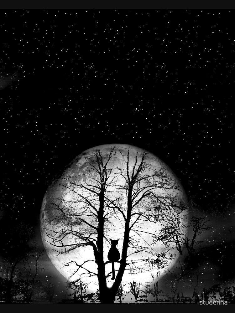black cat full moon by studenna