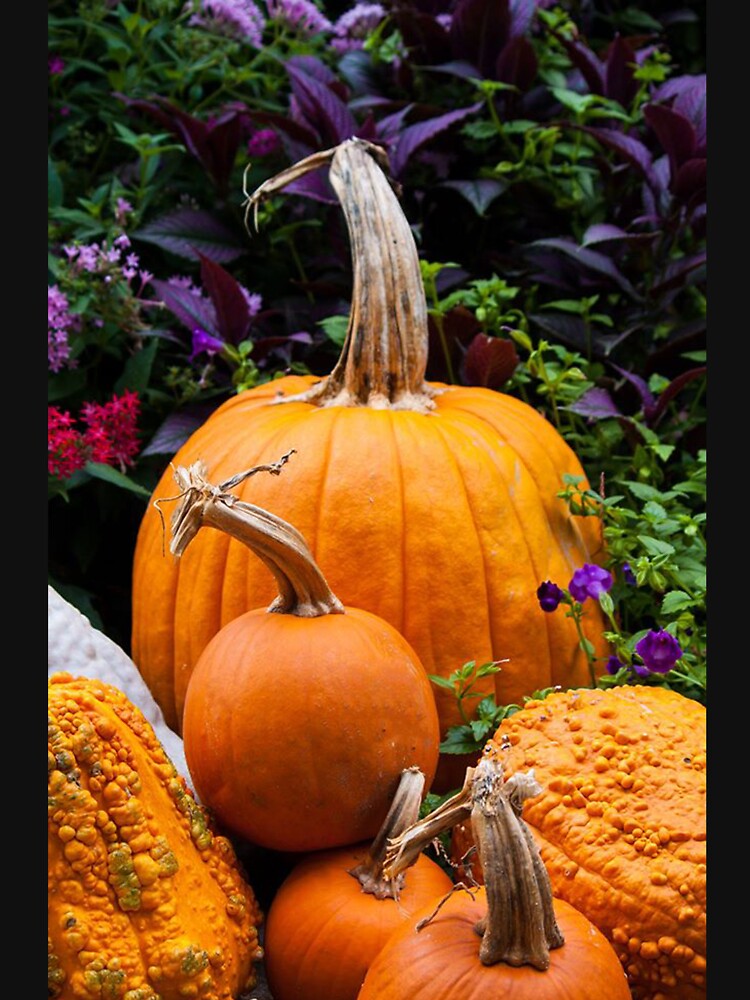 Pumpkin Patch by Jacquelie