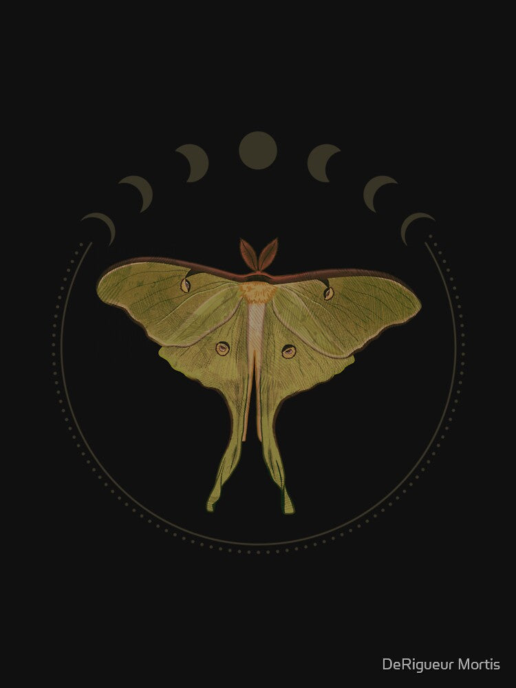 Lepidoptera 1 by DeRigueur Mortis