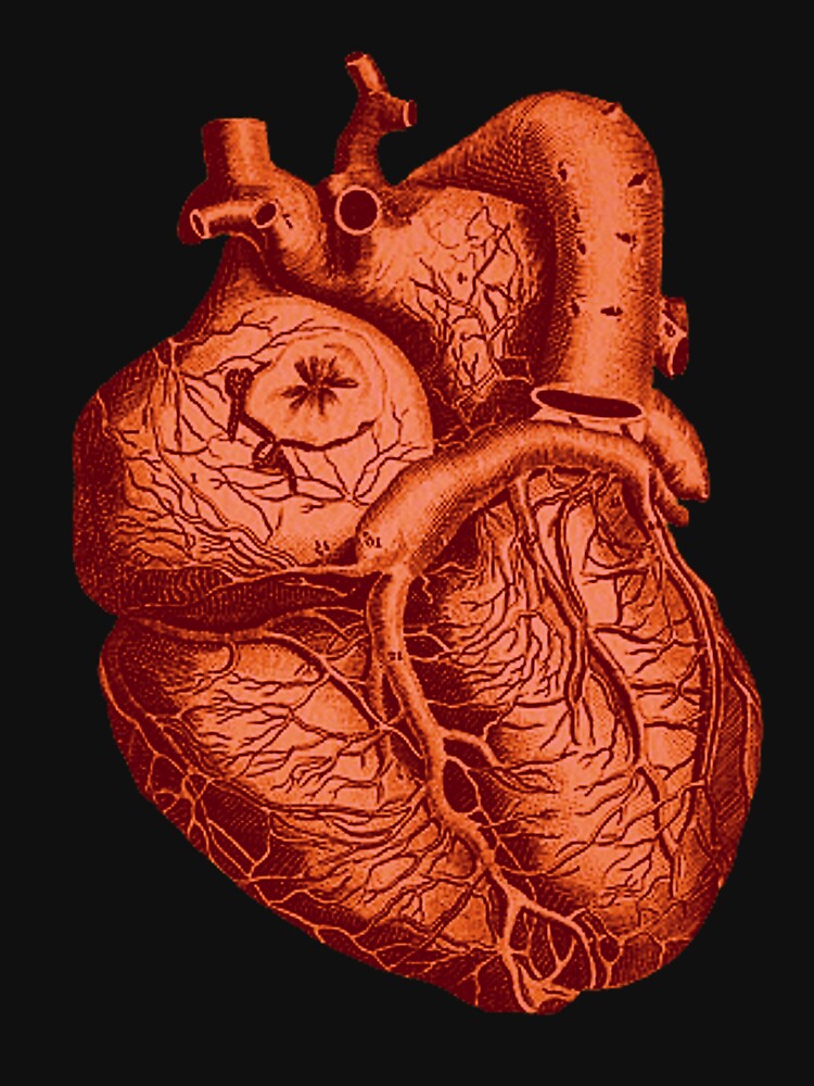 Heart by amanda150771