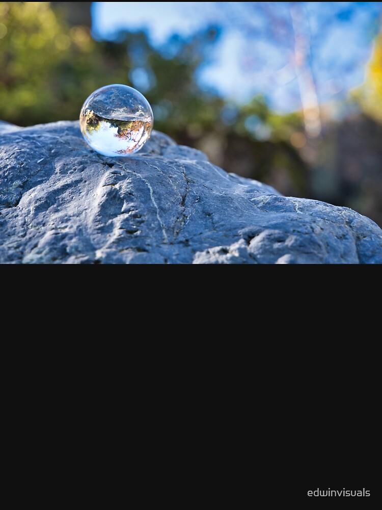 Forest In A Crystal Ball by edwinvisuals