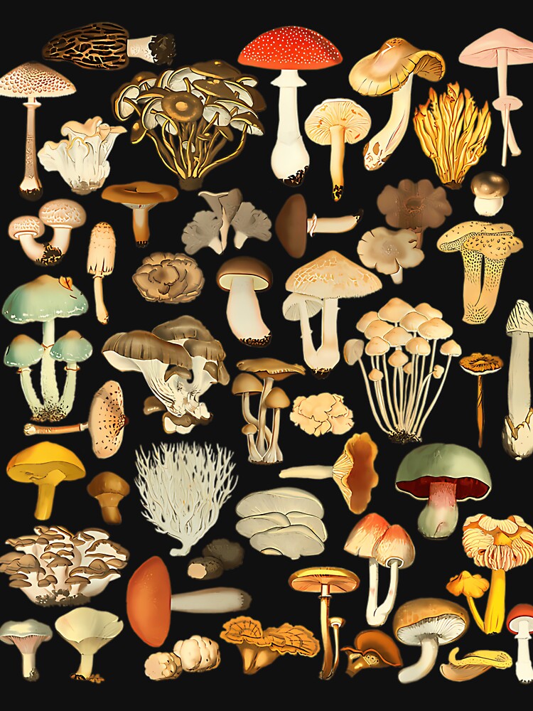 Mushroom Mycology Fungi Foraging Mushroom Whisperer by WADSWORTHSTUDIO