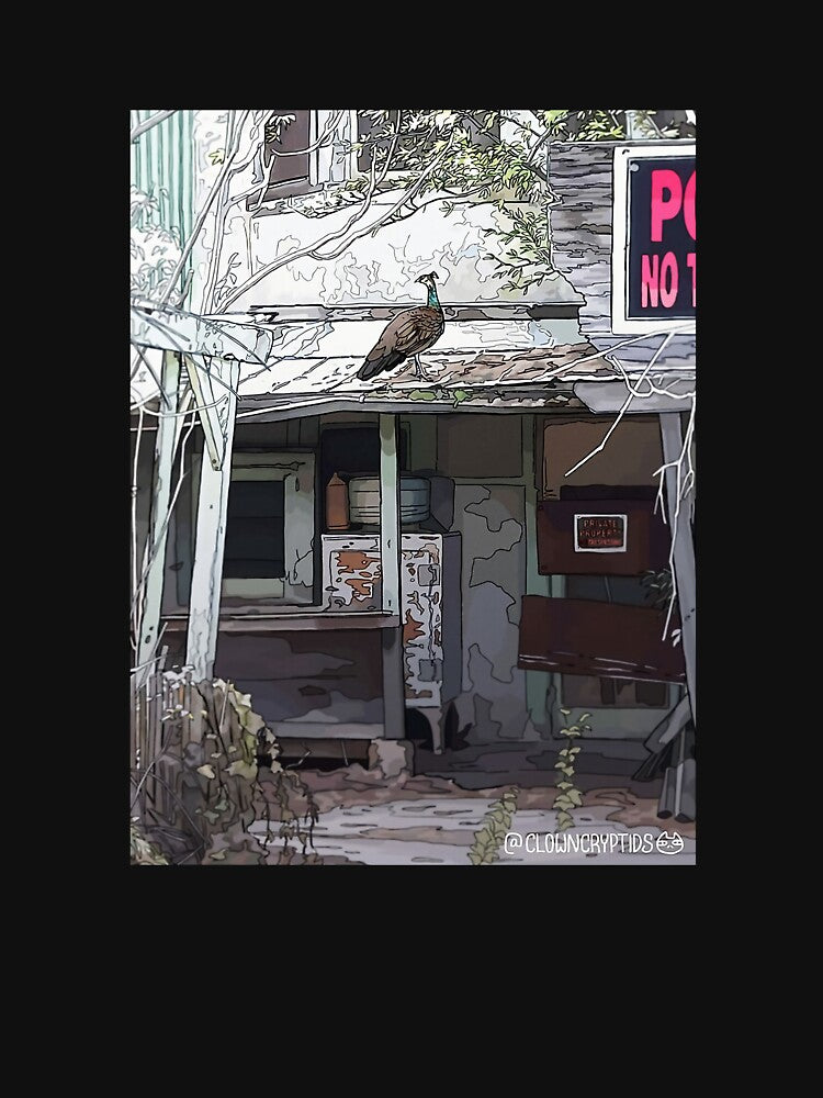 Life in the Ghost Town - Tuolumne County, California by jemasareena