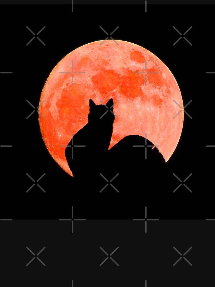 Sweet Kitty Cat Under Orange Full Moon by H3designs