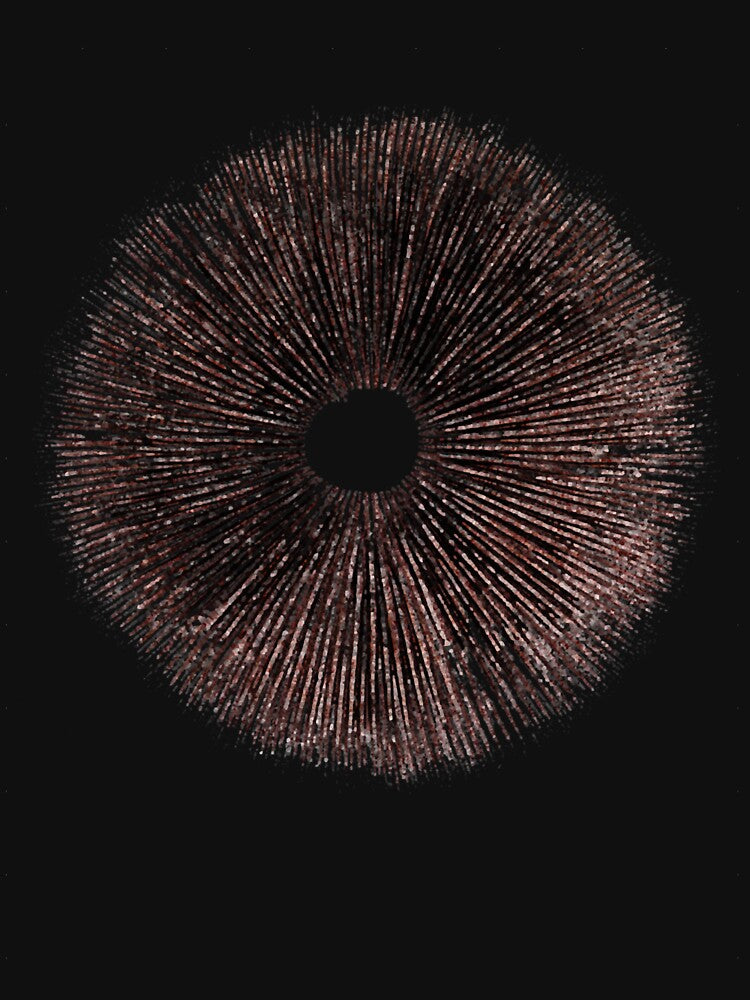Psilocybe Cubensis Psychedelic Mushroom Spore Print by LHernacvbndez