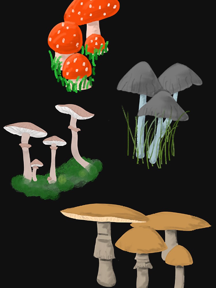 Mushroom by phamquynh