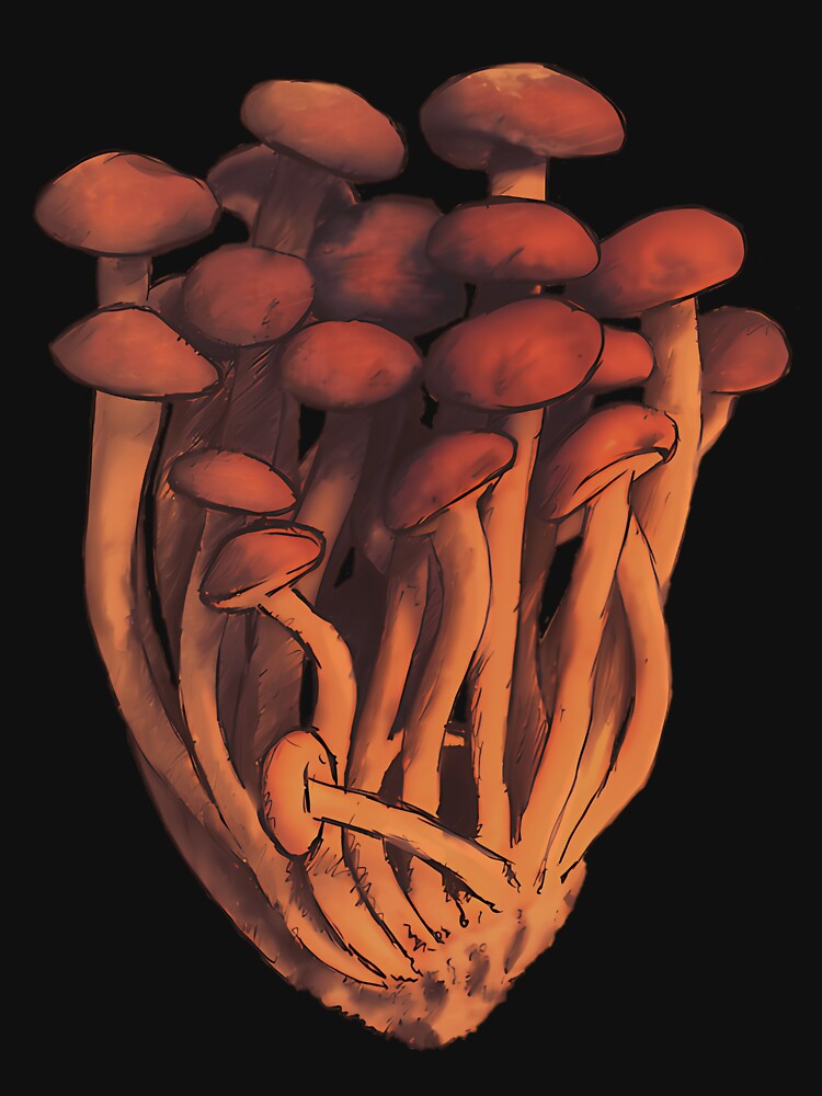 Pioppini Mushroom Mycology Illustration by shapbeglyl