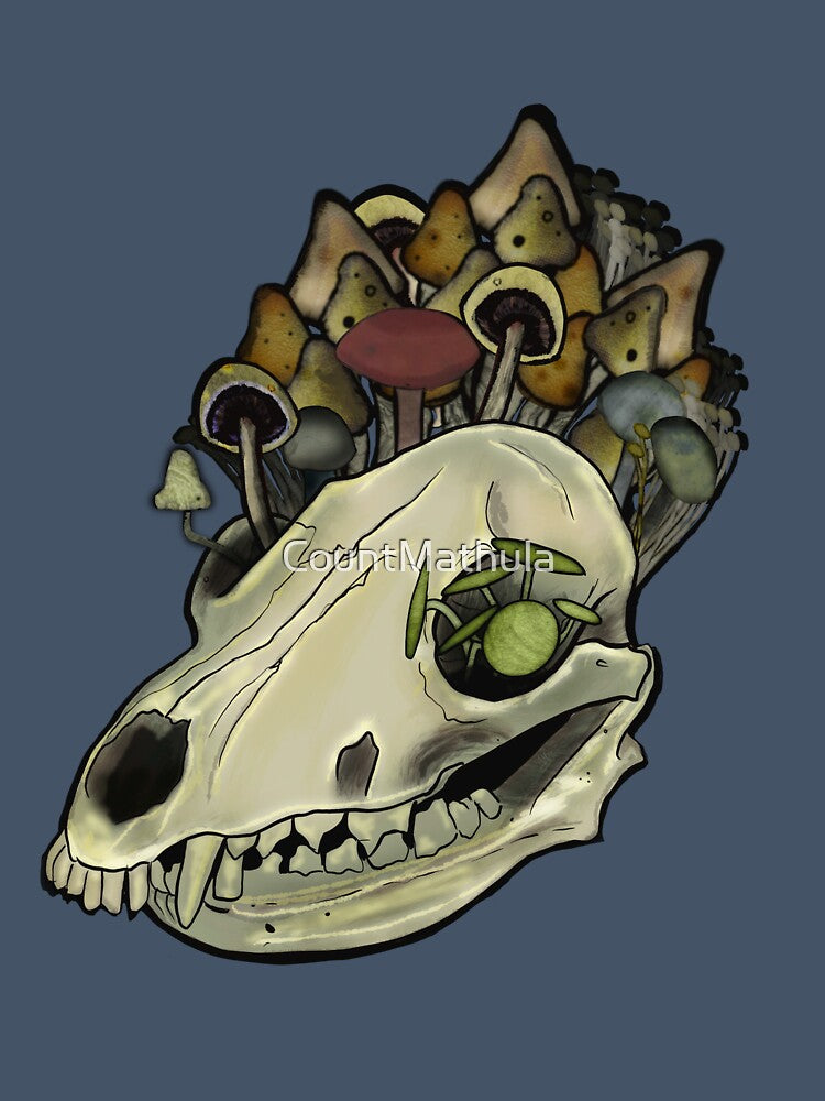 Fox Skull by CountMathula