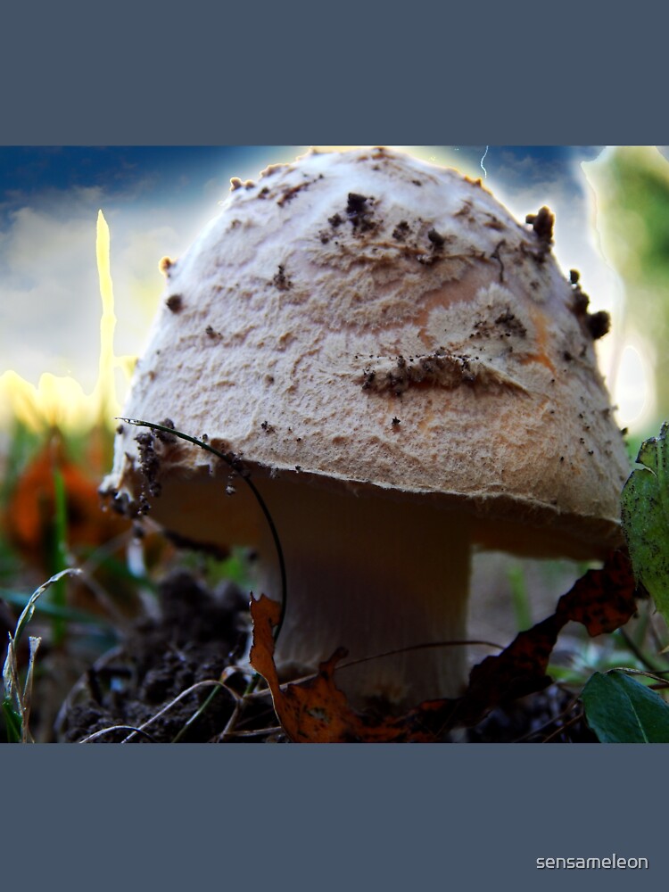 Mushroom Kingdom (1116) by sensameleon