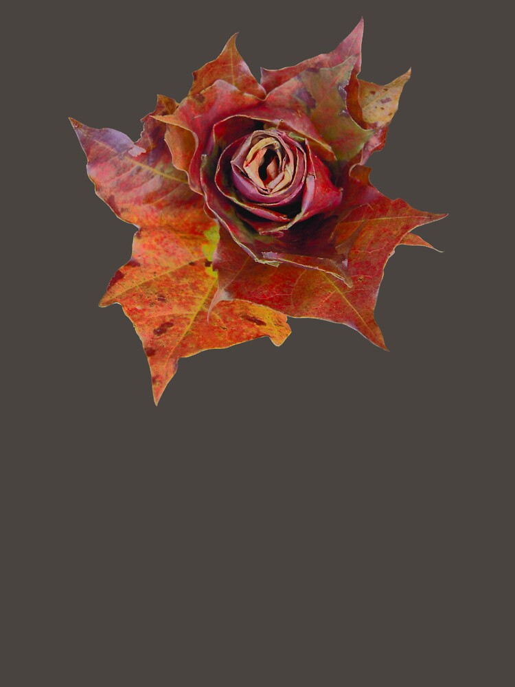 maple flower by Kadi Poom