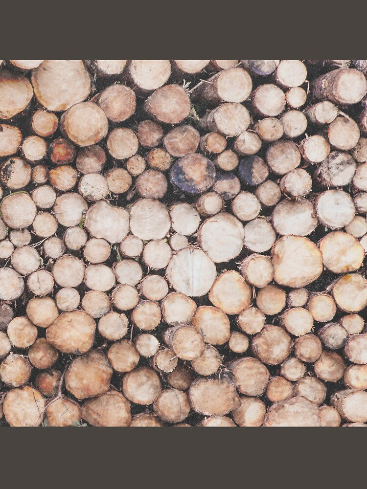 Rustic Fall and Winter Abstract Log Pile by kasamor
