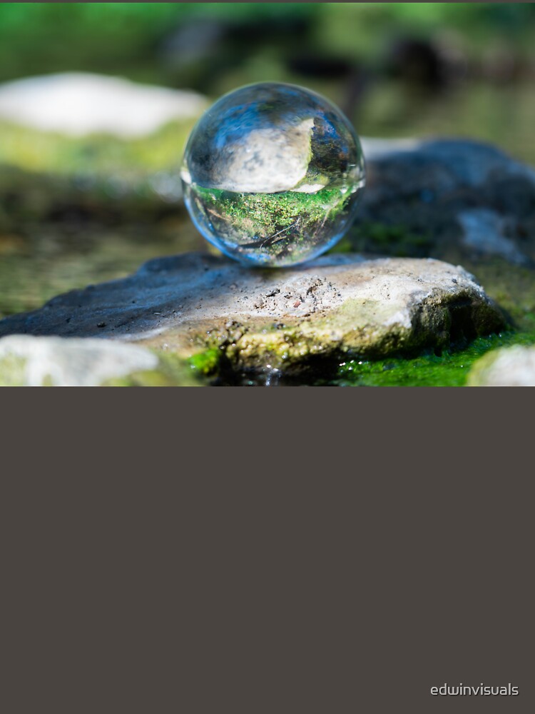 Forest In A Glass Crystal Ball by edwinvisuals