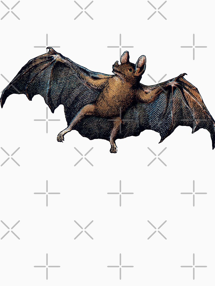 Vintage Scary Bat Flying by AngryOcean