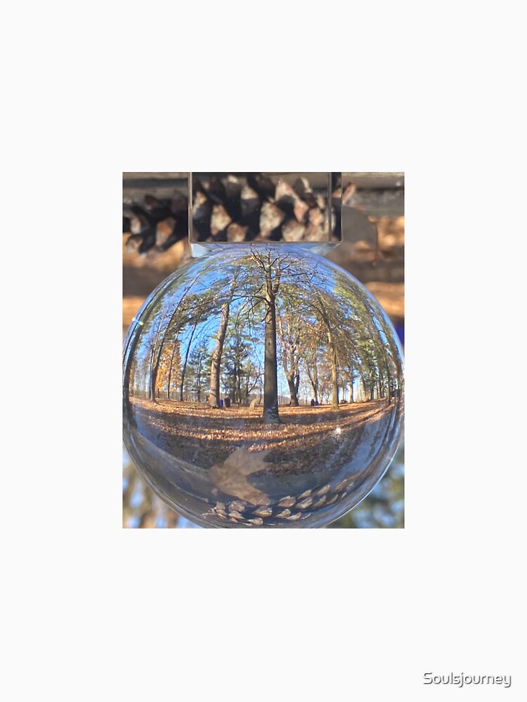 Crystal Ball Photography in the Woods by Soulsjourney