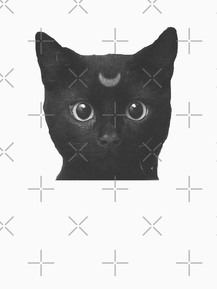Moon Kitty by cameronbaba