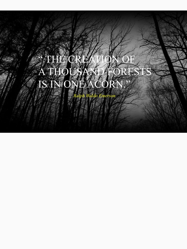 Creation Quote by Tim Dusenberry