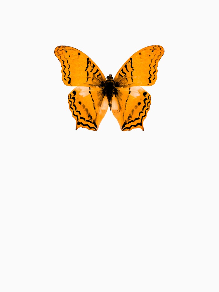butterfly insect illustration design by Earth Alchemy Studio