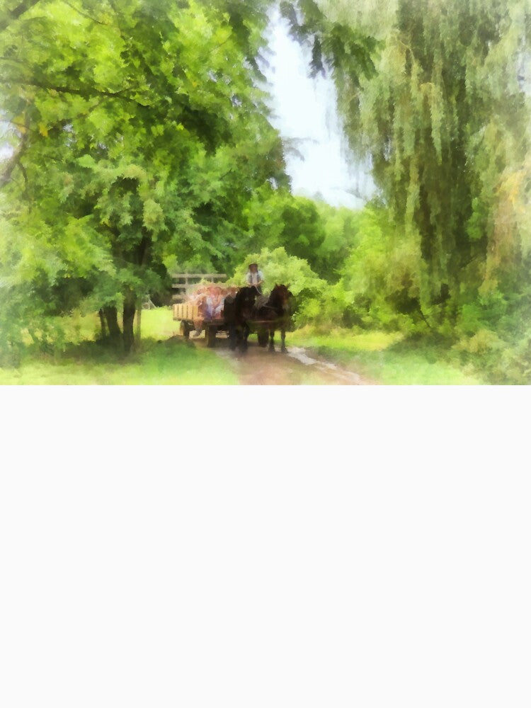 Hayride by Susan Savad