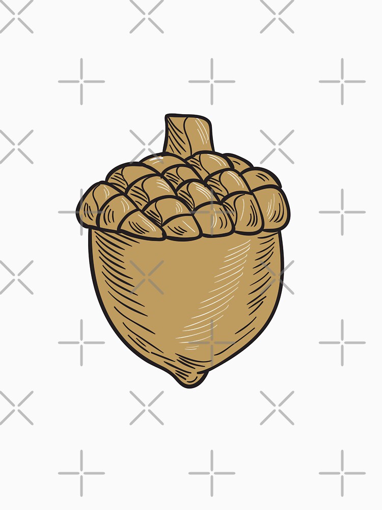 Acorn Drawing by patrimonio