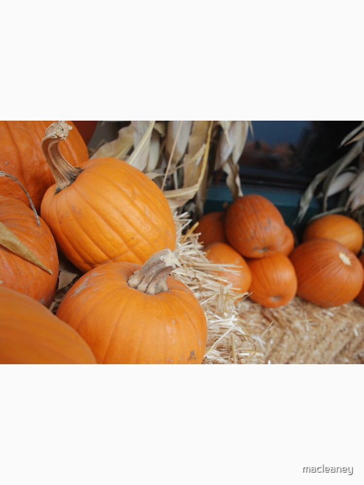 Pumpkins by macleaney