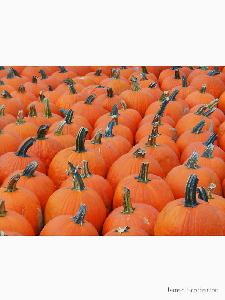 Pumpkin Get Together by James Brotherton
