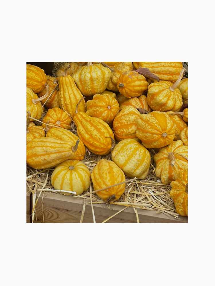 Autumn pumpkin pile by Snvkes