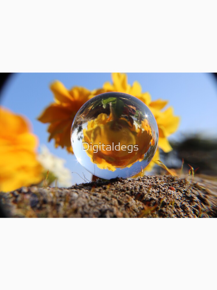 Mirror ball, reflection flower by Digitaldegs