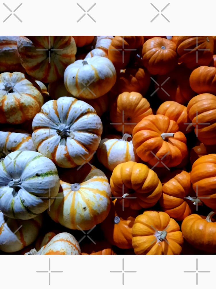 Pumpkin Patch by VioletVends