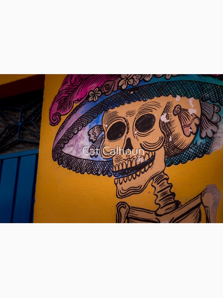 Calavera Street Art by Cat Calhoun