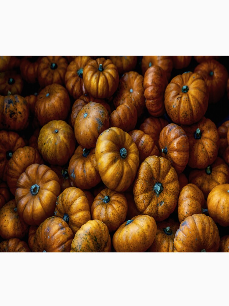 Antiquated Pumpkins by mctuba