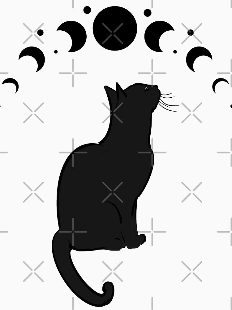 Moon Phase Cat by alybugg