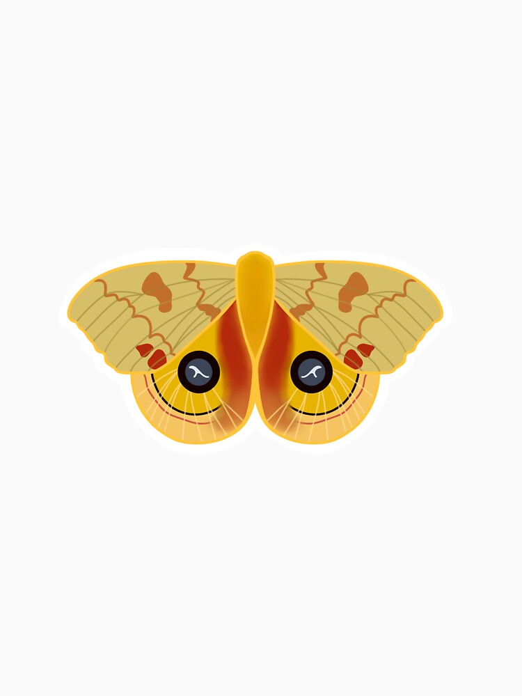 IO moth by esther-hartopp