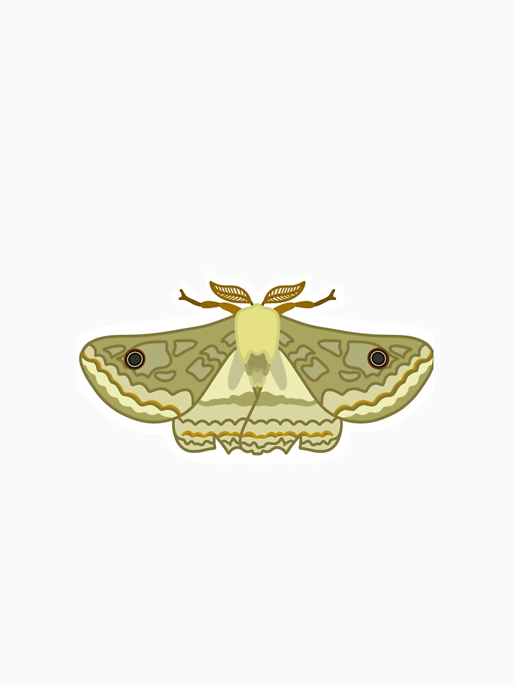 Marbled Emperor Moth by esther-hartopp