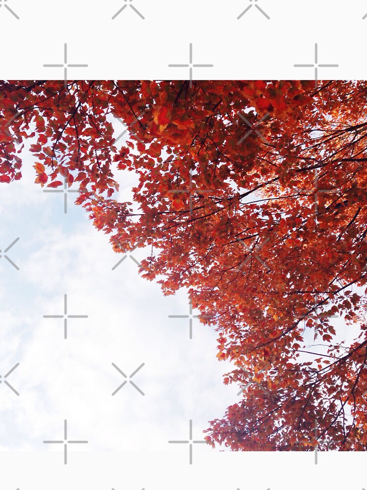red fall leaves, fall foliage by Tori-creates