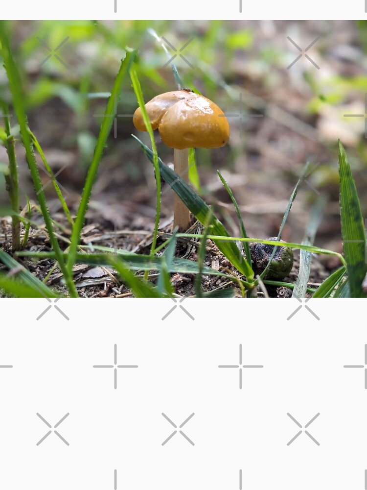 Shroom After Rain by TheRealDanniX