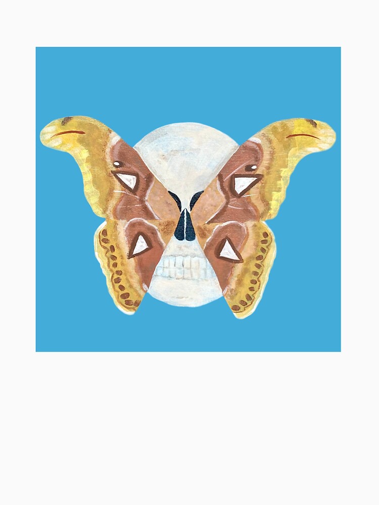 Atlas moth in skull illustration by Bugbotherer30
