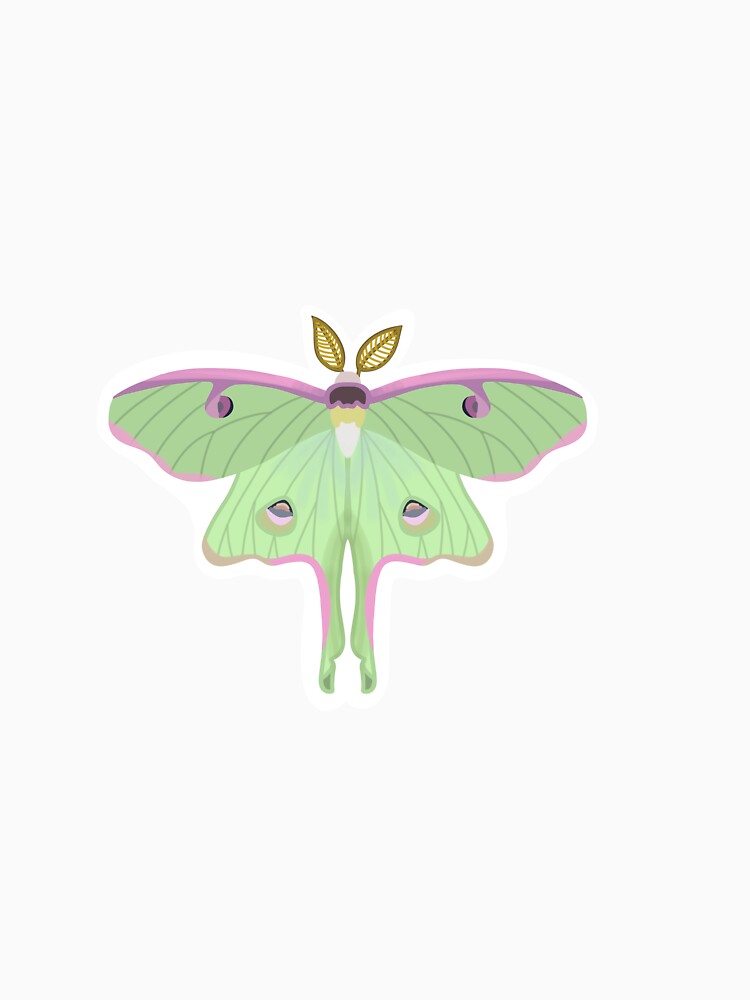 Luna Moth by esther-hartopp