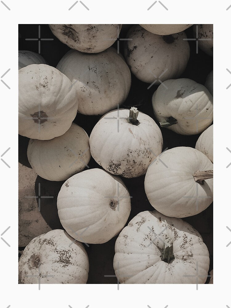 White Aesthetic Pumpkin Patch by irideae
