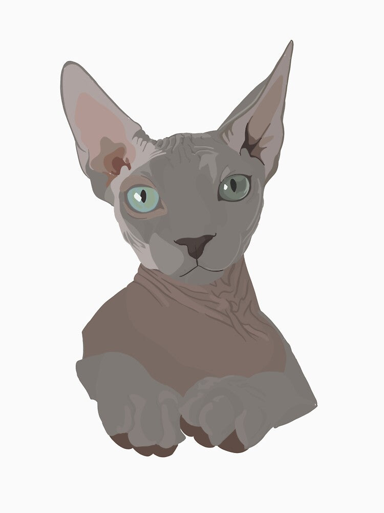 Sphynx Cat by hadleyvaughn