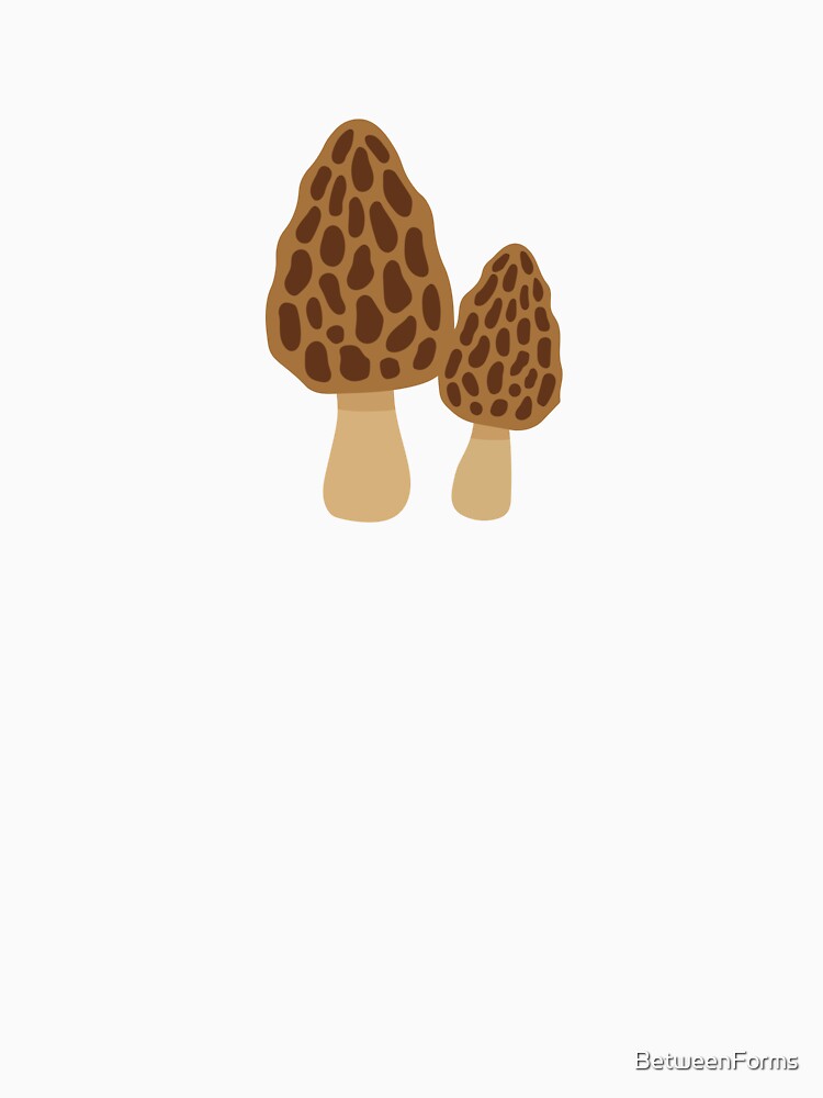 Wild Morel Mushroom Illustration by BetweenForms