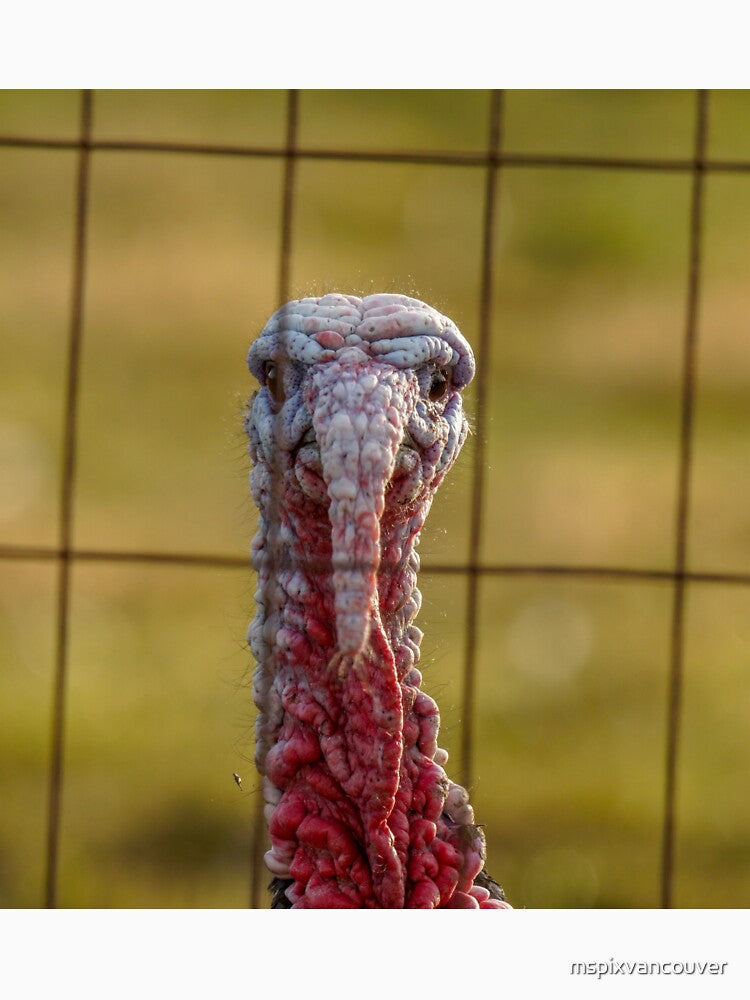 Gobble Gobble by mspixvancouver