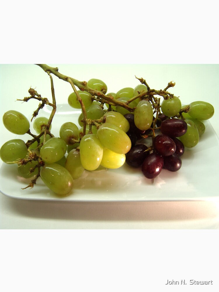 Grape Harvest by John N.  Stewart