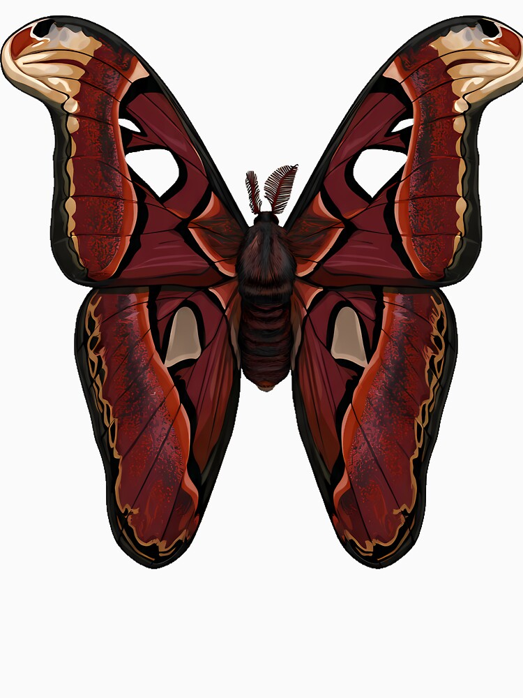 Atlas Moth Gothica by IllumeInk