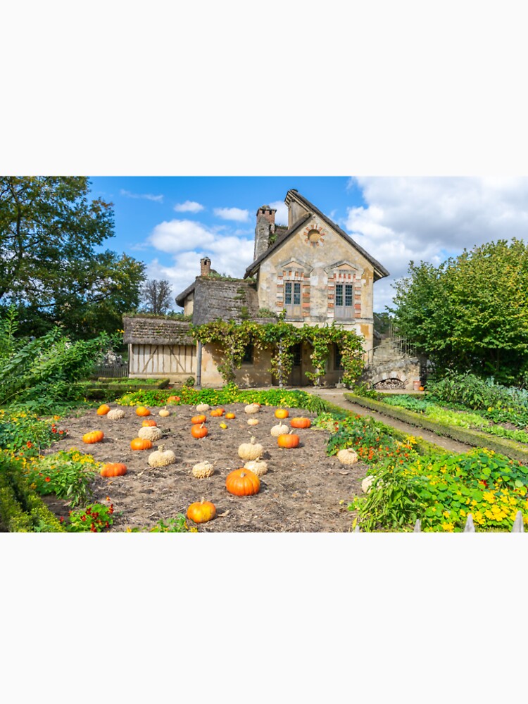 Pumpkin patch and farmhouse by TDArtShop