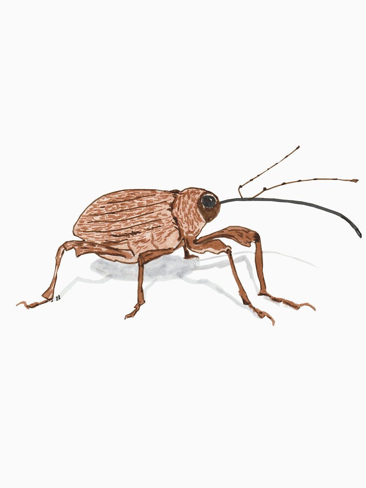 Acorn Weevil by gorillagal